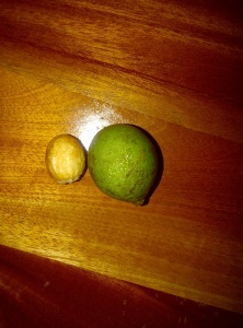 Kenip Fruit and Seed